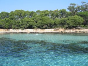 kayak-cannes-location-kayak-seafirst-ile de lérins-antibes-esterel-beaulieu-alpes-maritimes-var-kayak de mer-kayak 06-kayak 83-kayak côte d'azur-sea kayak-